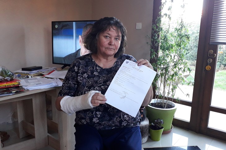 NAPADNUTA MAJA RIBIĆ: Dvojica susjeda tukla su metlama i lopatom ...