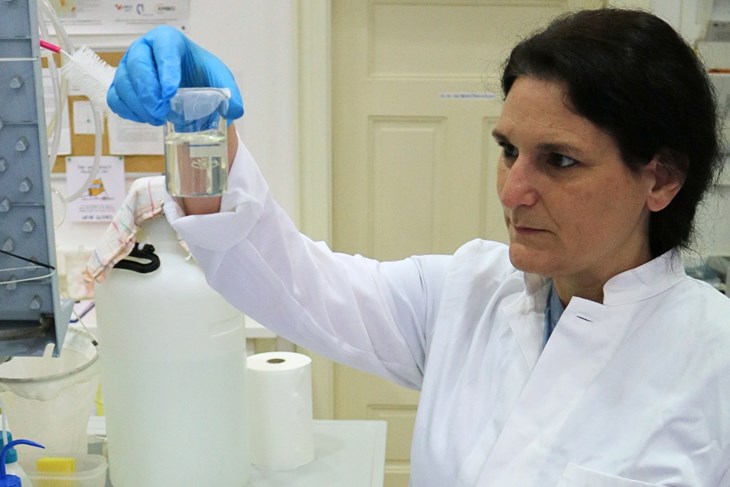 U Rovinju se meduze i rebraši, nekoć problem za ribare, pretvaraju u gnojivo
