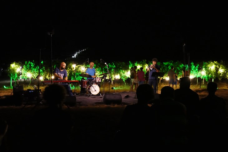 Od jazza u vinogradu do noći zvijezda u Dubrovi, Sveta Nedelja sprema bogat program