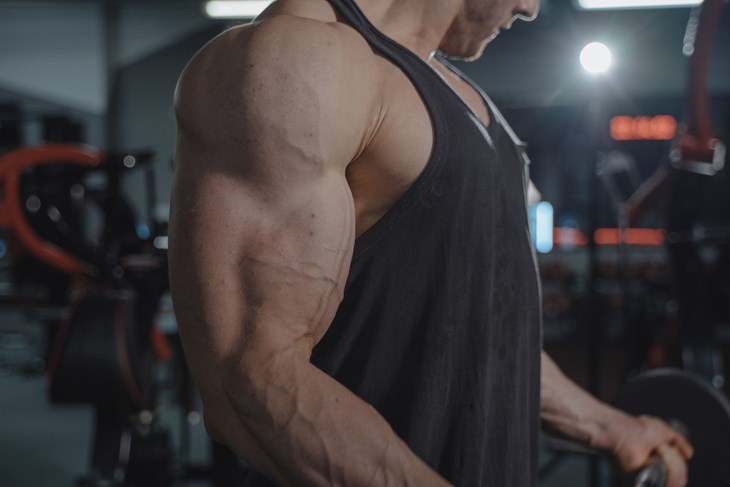 Pomoć pri treningu? Zaustavljena pošiljka s 400 kilograma testosterona, steroida i anastrozola
