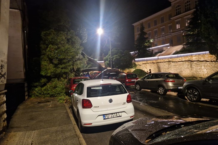 FOTO / Nevrijeme srušilo veliko stablo ispred Arheološkog muzeja: Oštećeni parkirani automobili