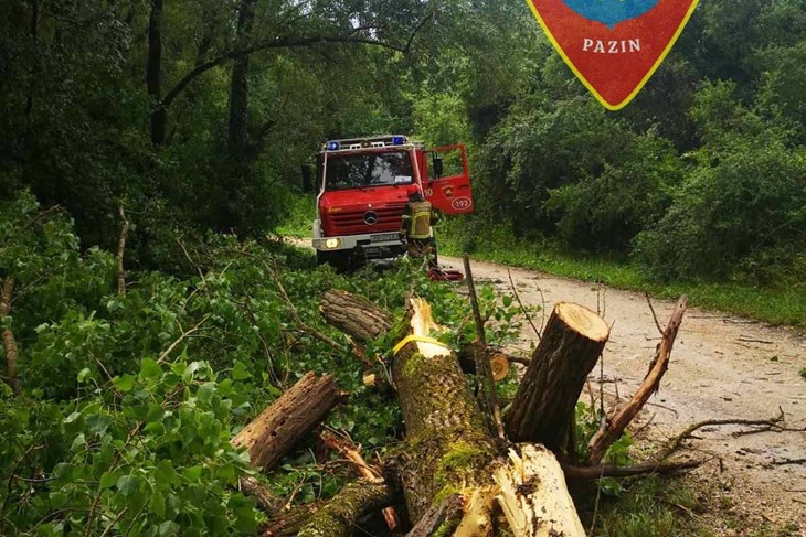 FOTO / Nevrijeme pogodilo Pazin: Stabla padala, voda se ispumpavala, grom udarao