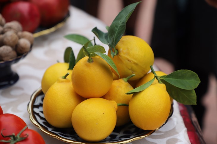 Mislite da je limun kralj vitamina C? Ove namirnice imaju ga puno više