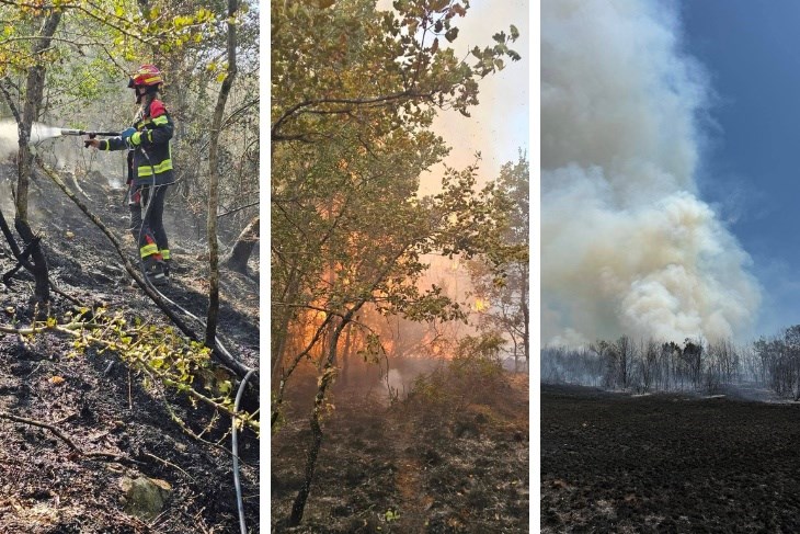 FOTOGALERIJA / Jedan od najvećih požara ljeta na sjeverozapadu Istre progutao 30 hektara