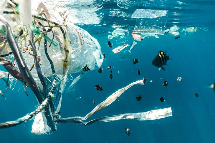 Znanstvenici pronašli mikroplastiku u svakom analiziranom uzorku arterija