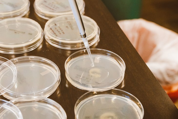 Umjetna inteligencija dizajnirala nove viruse: Mogli bi pomoći u borbi protiv bakterija otpornih na antibiotike